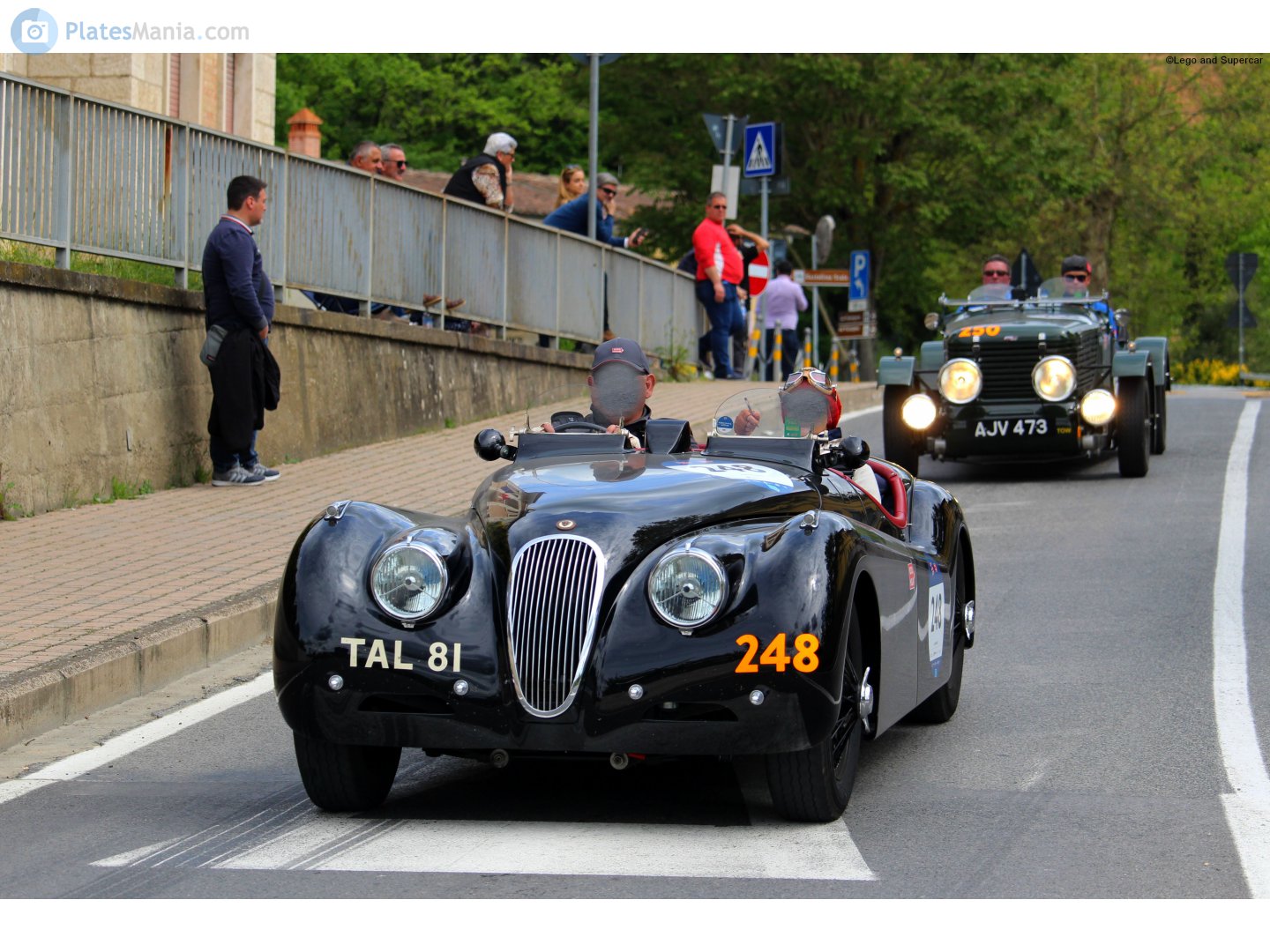 TAL81, Jaguar XK120 
