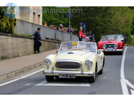 MGO 870, Nash Healey