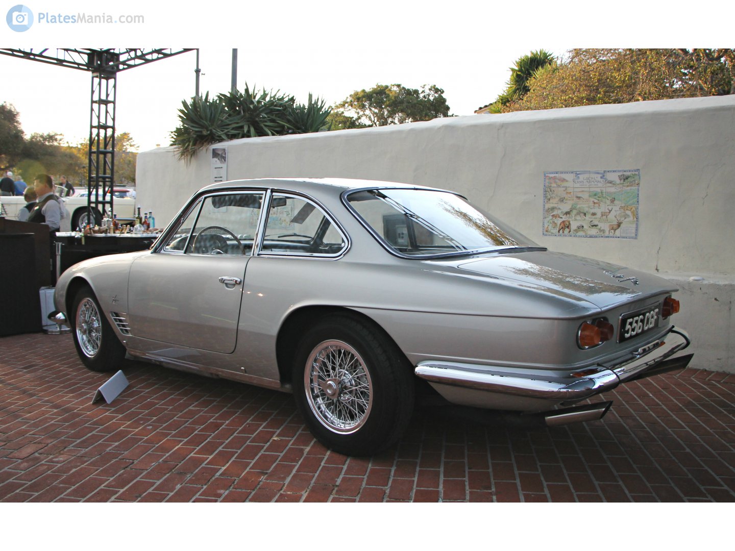 556CGF, Maserati 5000GT 