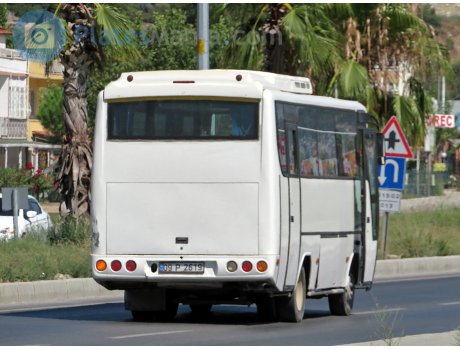 09 P 2619, Isuzu Royal