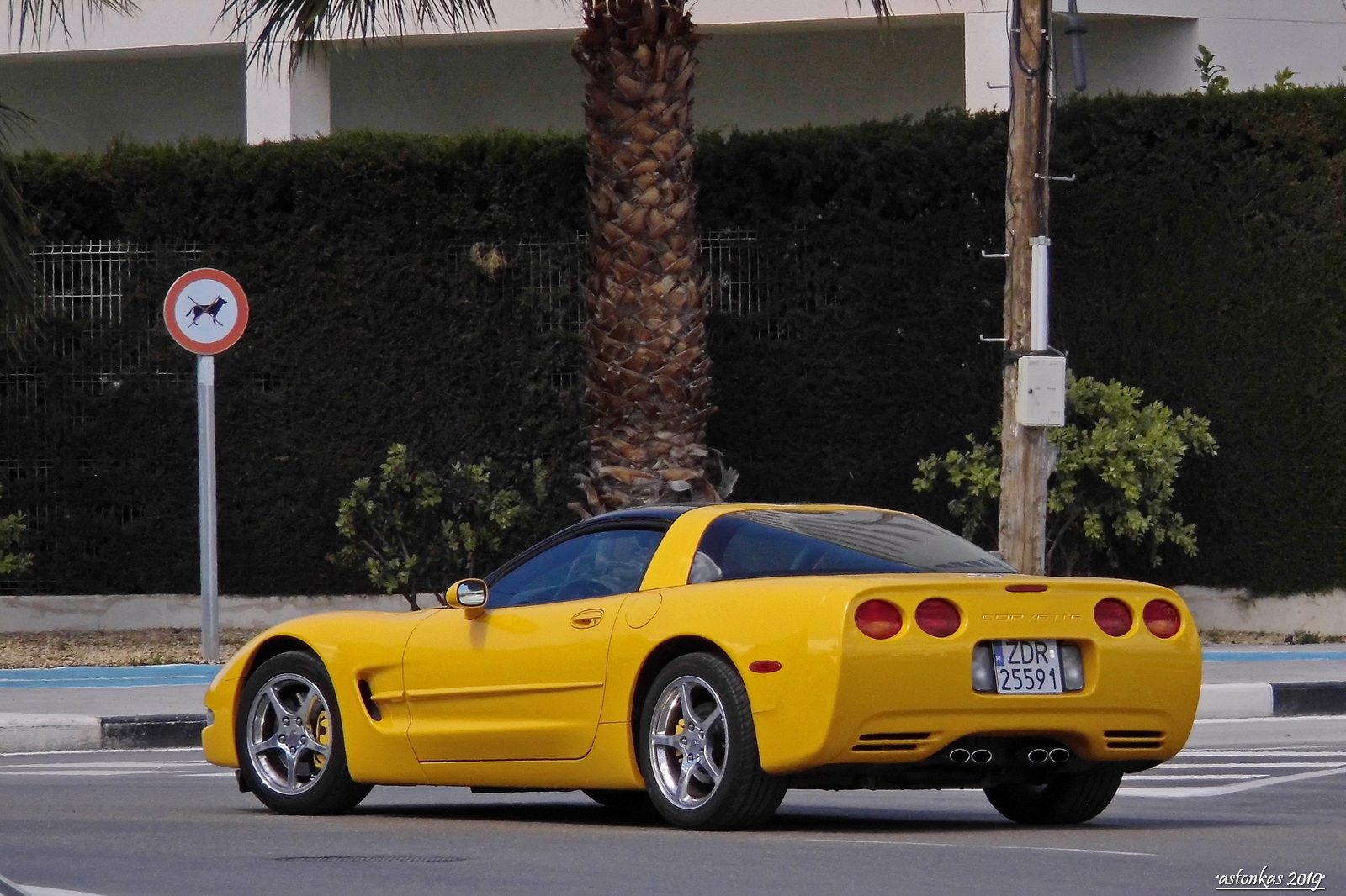 ZDR 25591, Chevrolet Corvette 5th gen Targa (C5; Y-body), 1996–2004