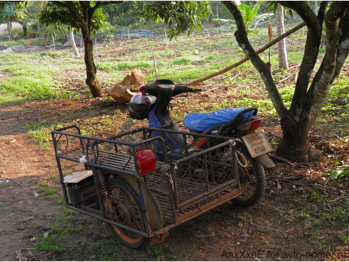 ขทจ 508, Honda Wave 