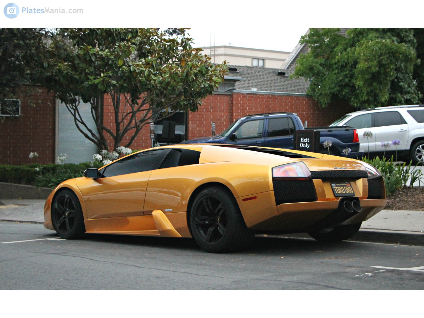 TORO ORO, Lamborghini Murciélago 1st gen Coupé, 2001–2006