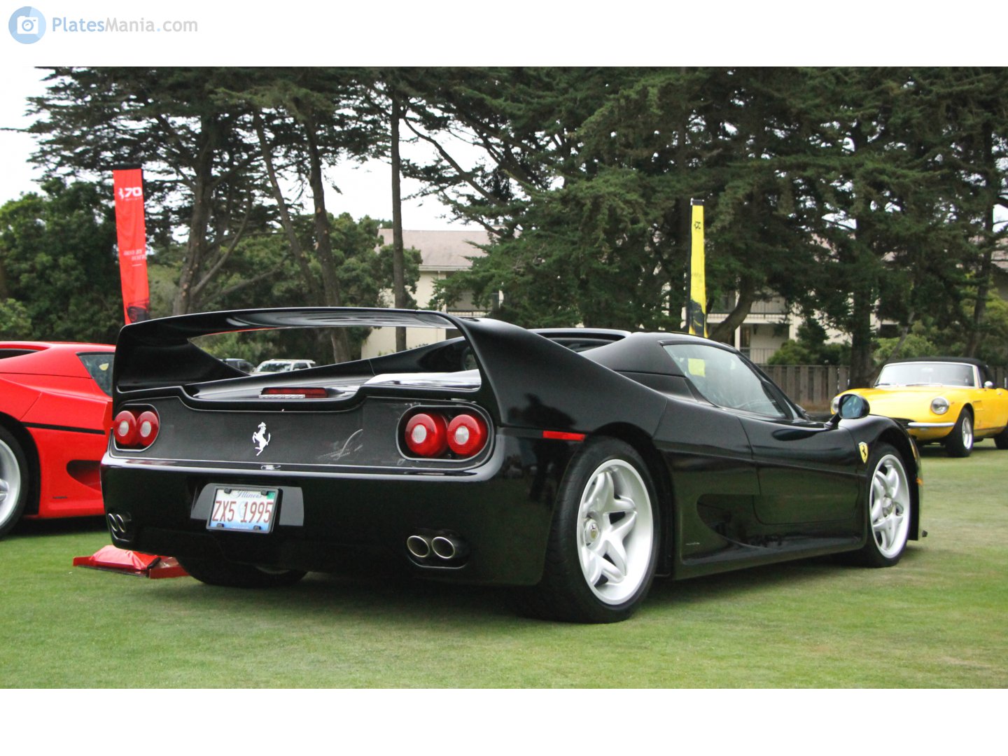ZX5 1995, Ferrari F50 1st gen (F130), 1995–1997