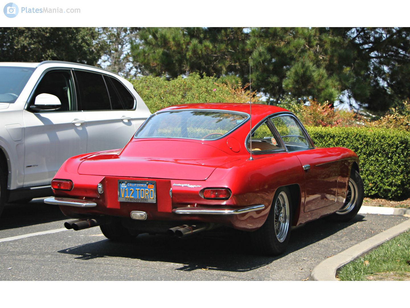 V12 TORO, Lamborghini 400GT 1st gen (2+2) Coupé, 1965–1968