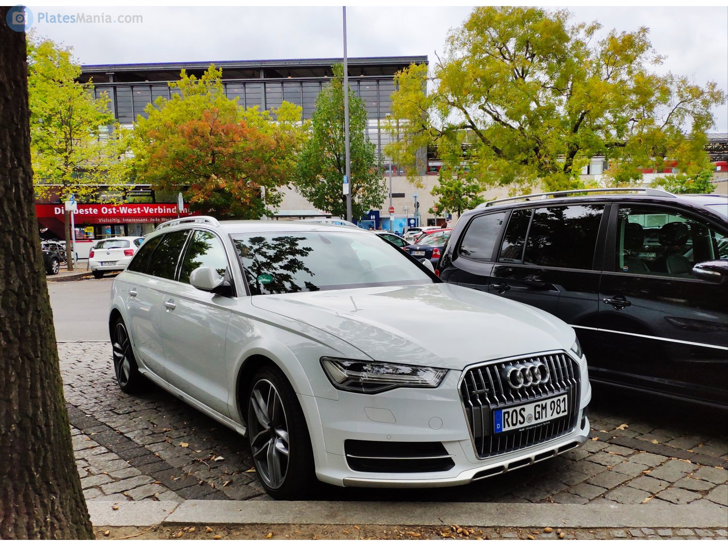 ROS GM 981, Audi A6 4th gen Allroad (C7/4GH/4GJ), 2012–2018