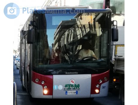 FA 950 WN, Menarini Vivacity