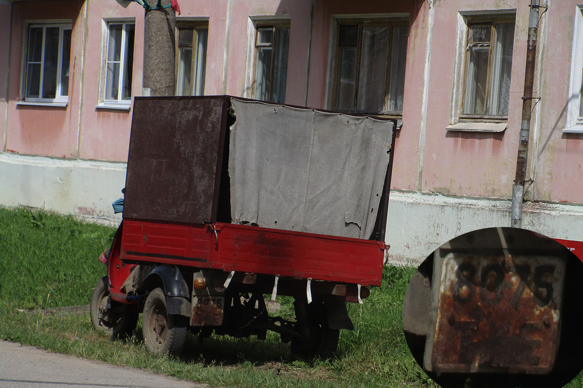 8075 ТУЕ, TMZ Муравей 