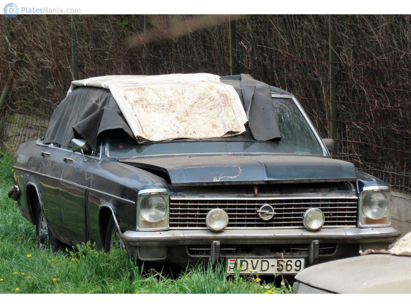 DVD-569, Opel Diplomat 2nd gen (B), 1969–1977