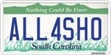 South Carolina, Vanity Plates
