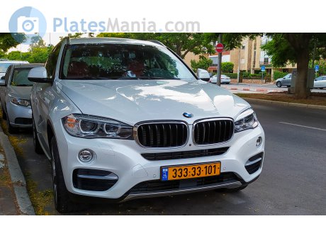 333-33-101, BMW X6