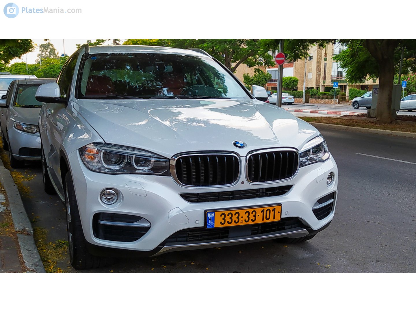 333-33-101, BMW X6 2nd gen (F16), 2014–2019