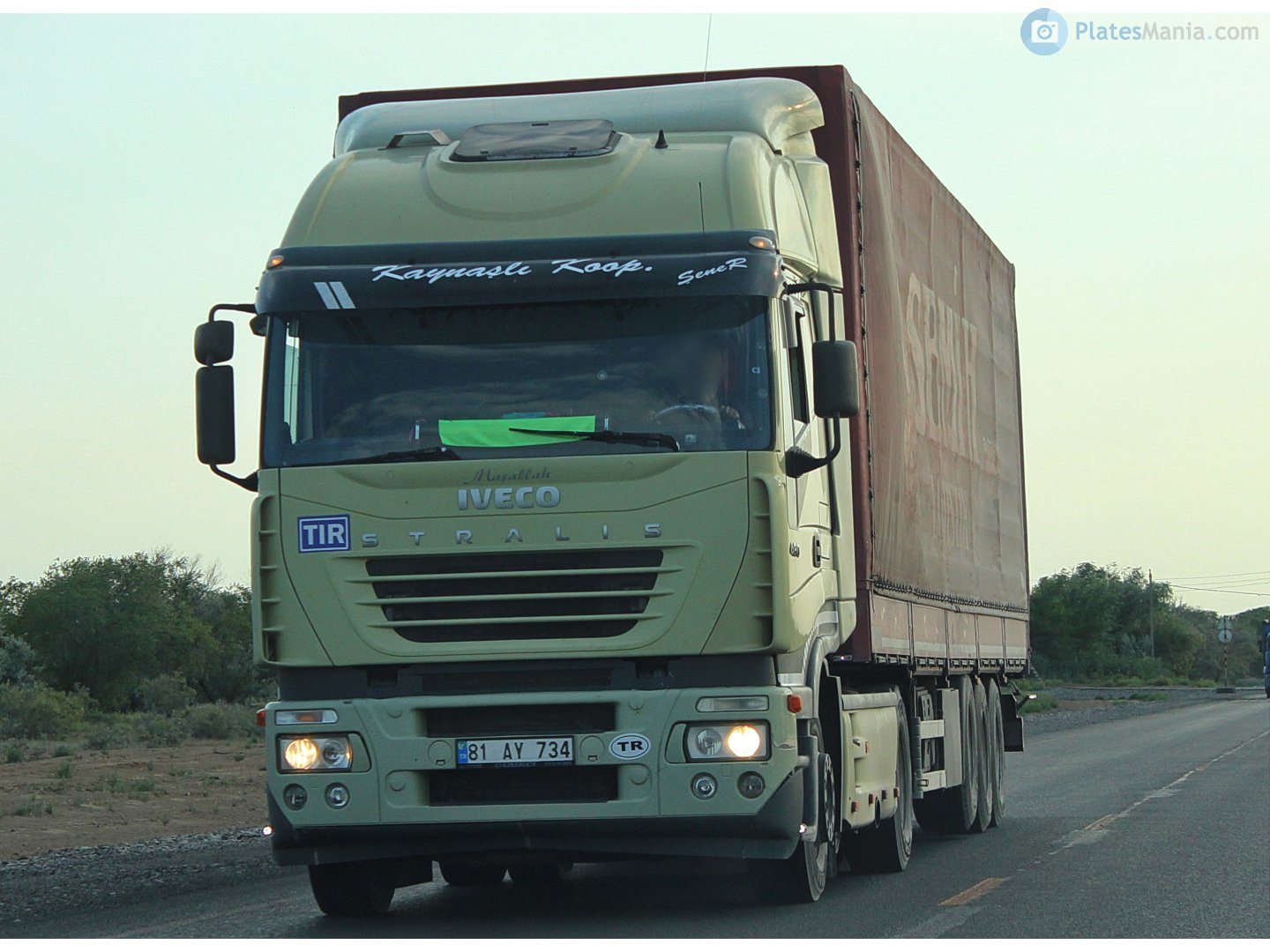 81 AY 734, Iveco Stralis 