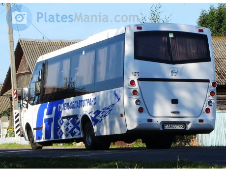 AM 7718-3, Neman 4202