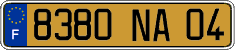 French license plate, FNI