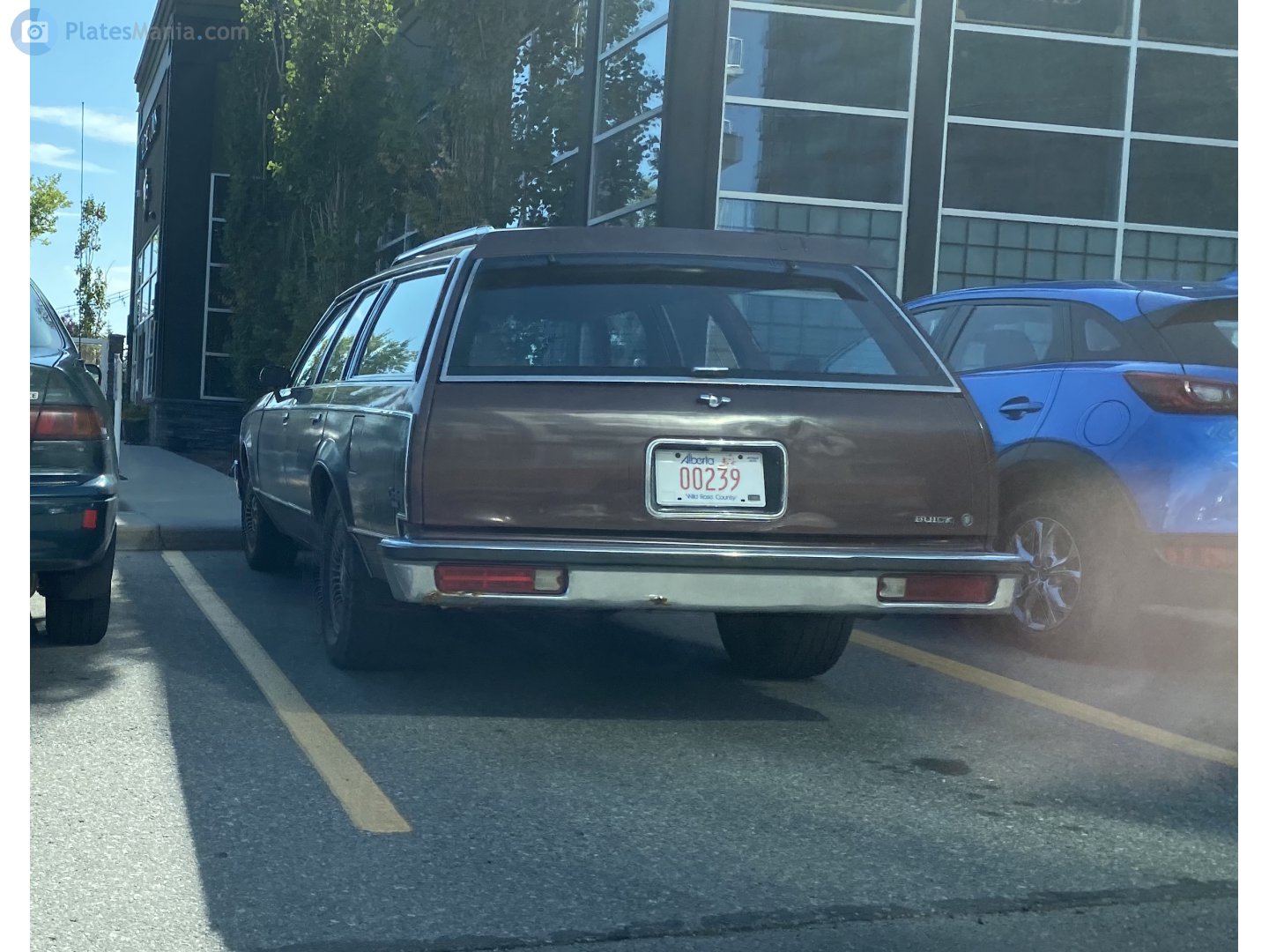 00239, Buick Century 4th gen Station Wagon (35; A-body), facelift, 1979–1981