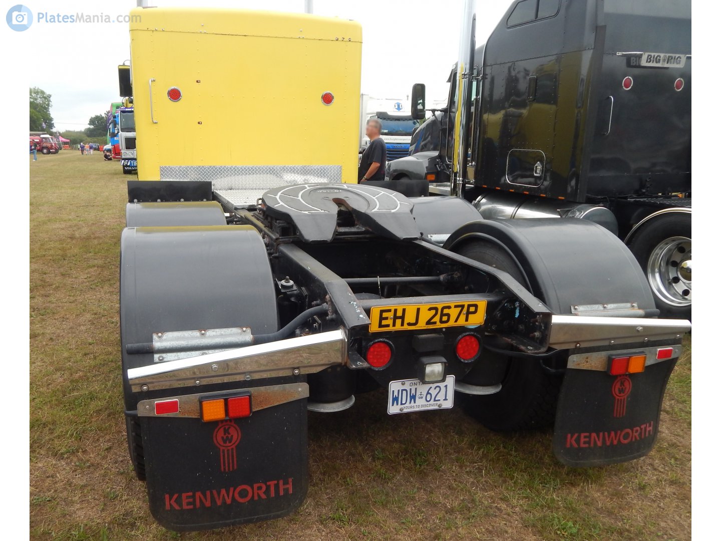 EHJ267P, Kenworth W900 