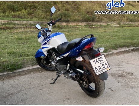 1495 аа 81, Suzuki GW250 / GSR250