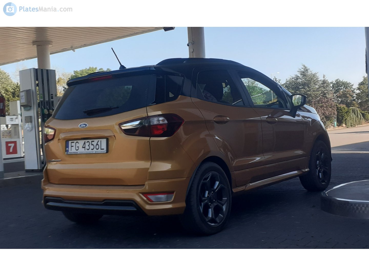 FG 4356L, Ford EcoSport 