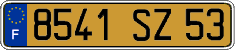 French license plate, FNI