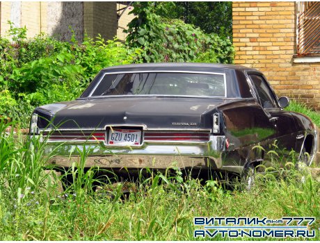GZU 4501, Buick Electra