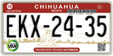 Chihuahua, Cars (AAA-00-00)