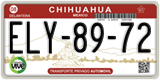 Chihuahua, Cars (AAA-00-00)