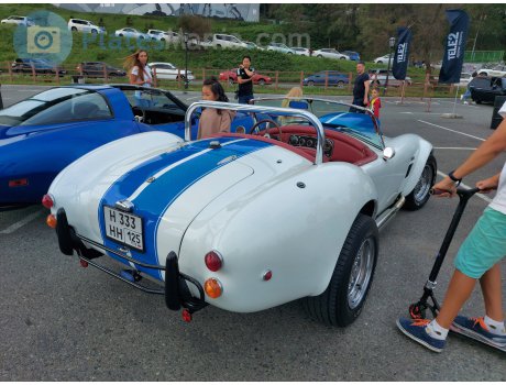 н333нн125, AC Cobra