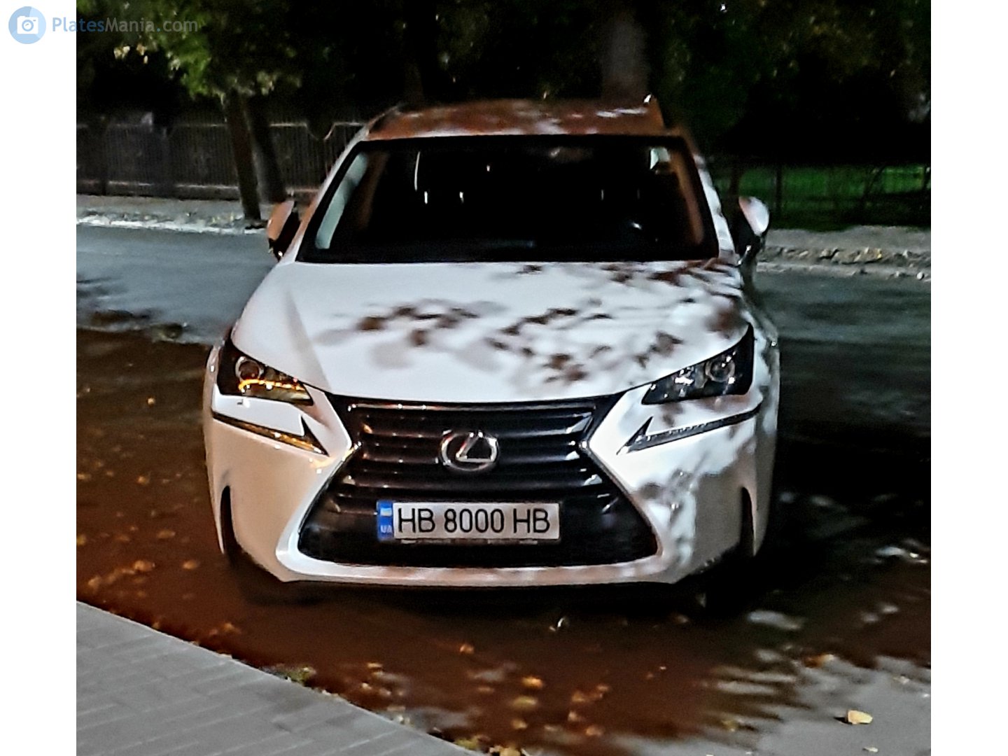 HB 8000 HB, Lexus NX 1st gen (AZ10), 2014–2017