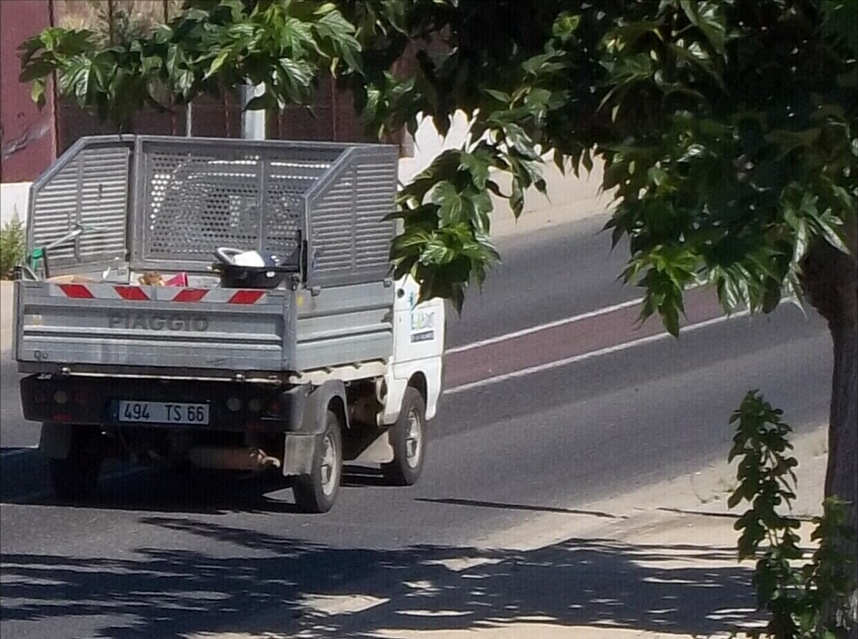 494 TS 66, Piaggio Quargo 