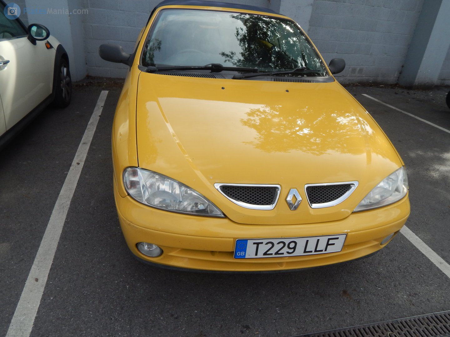 T229LLF, Renault Mégane 1st gen Cabriolet (E64), facelift, 1999–2002