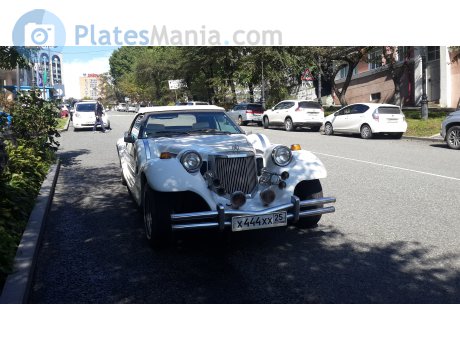 х444хх25, Mitsuoka Dore