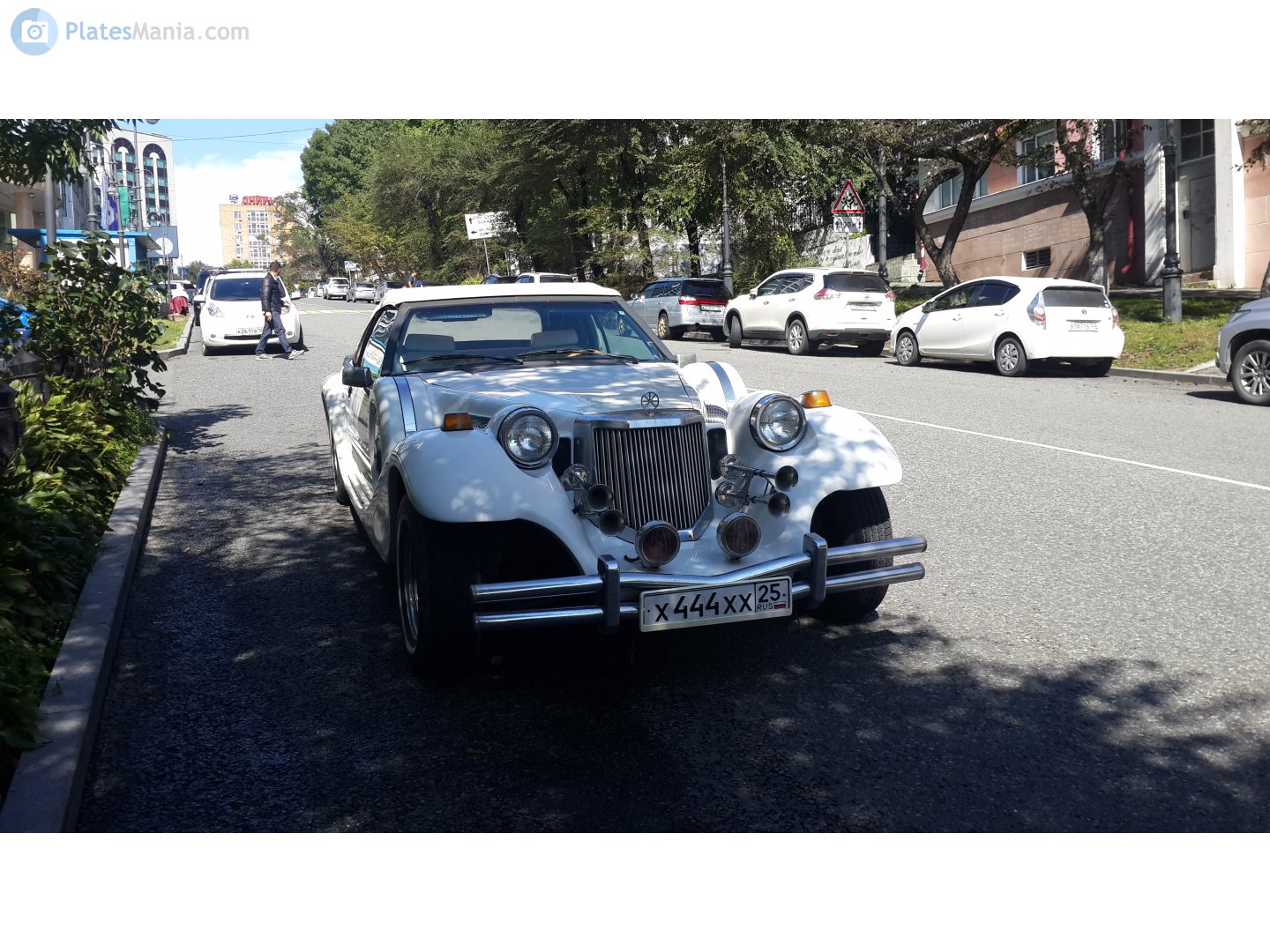 х 444 хх 25, Mitsuoka Dore 