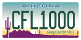 Arizona, ABC1234