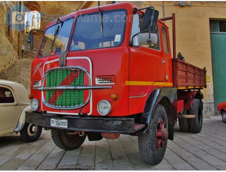 TP 294993, FIAT 600 Serie III Trucks