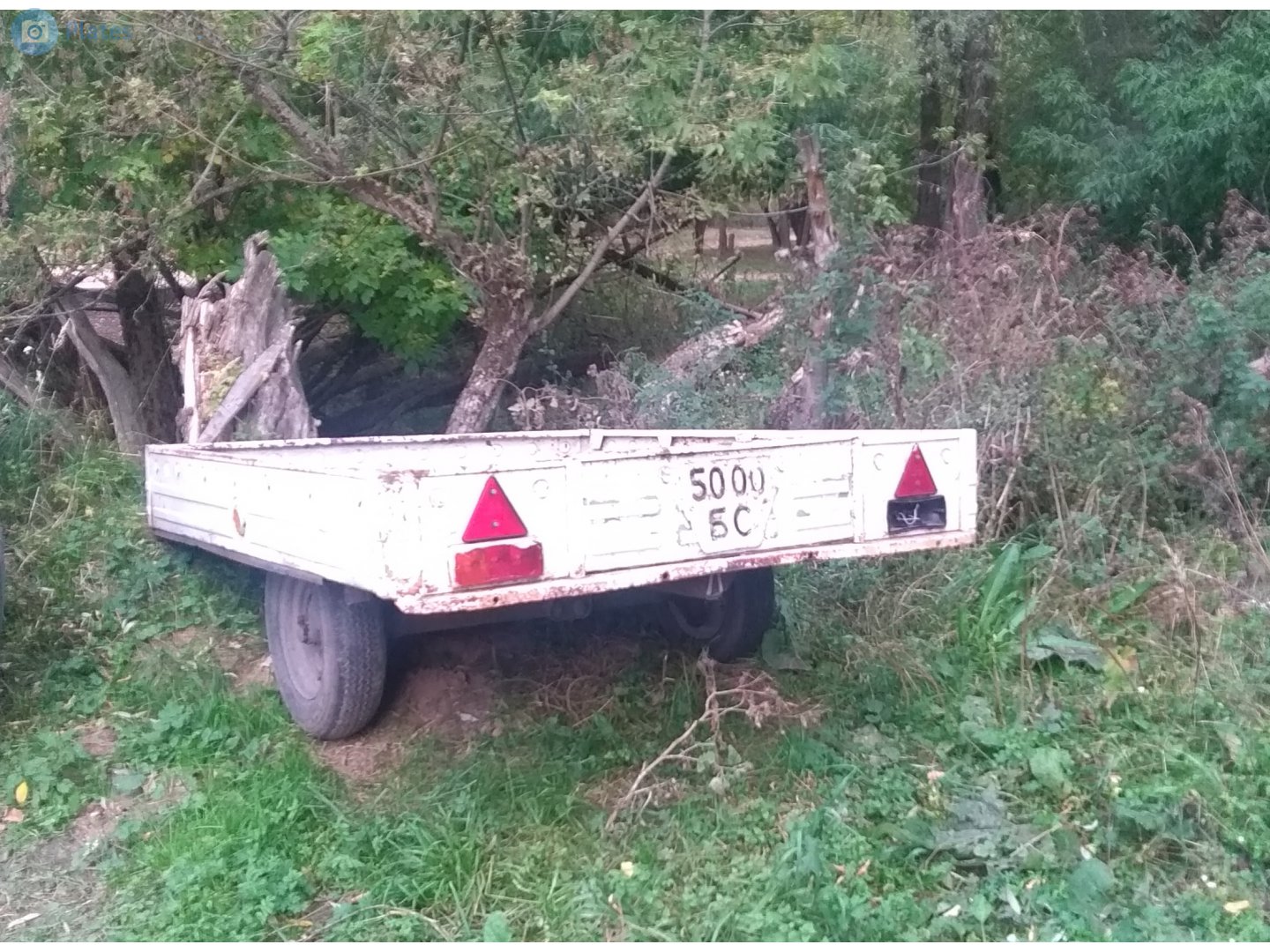 5000 БС, BAZ (BZKT) 8142 