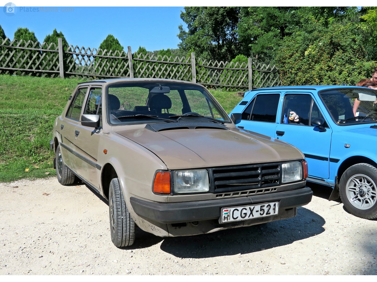 CGX-521, Skoda 135 