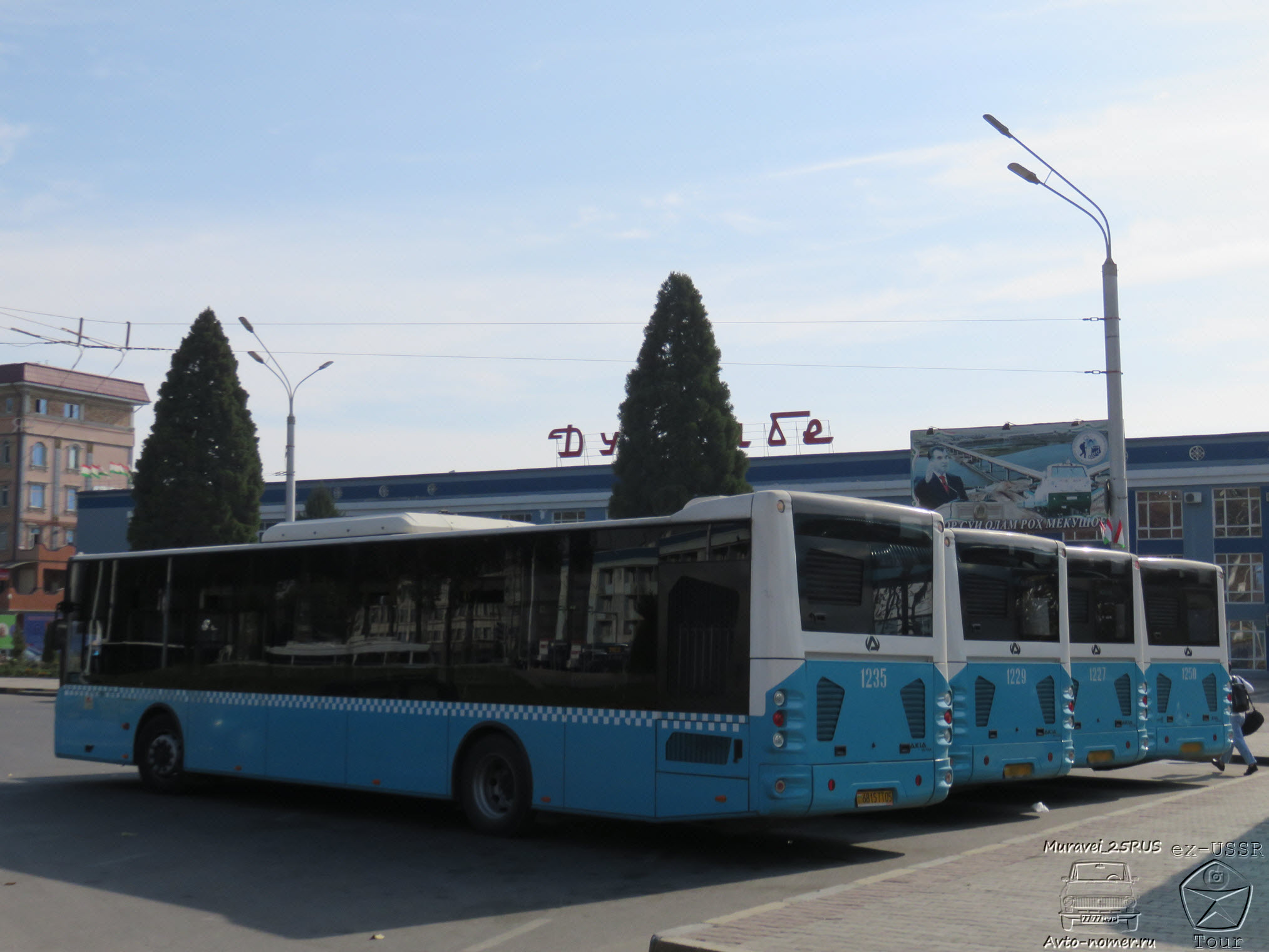 6815TT05, Akia Ultra LF12 