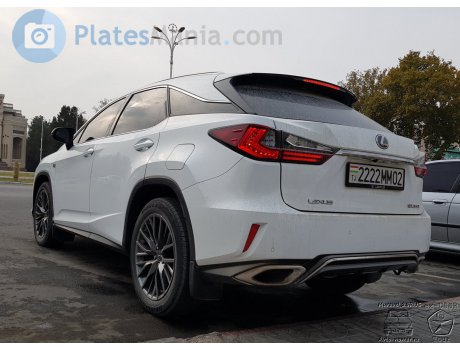 2222MM02, Lexus RX