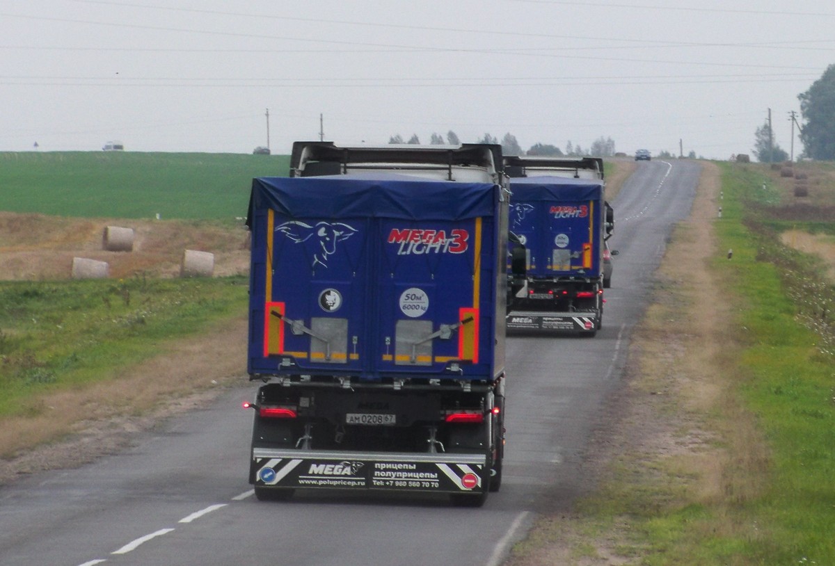 ам 0208 67, MEGA Trailers MNW 