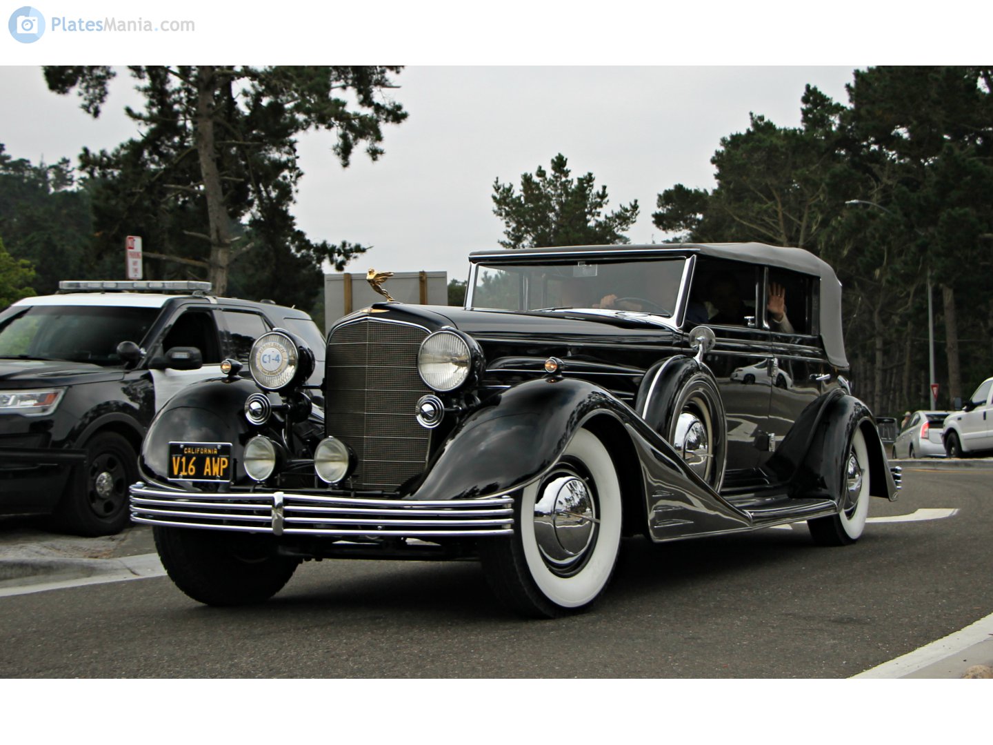 V16 AWP, Cadillac V16 