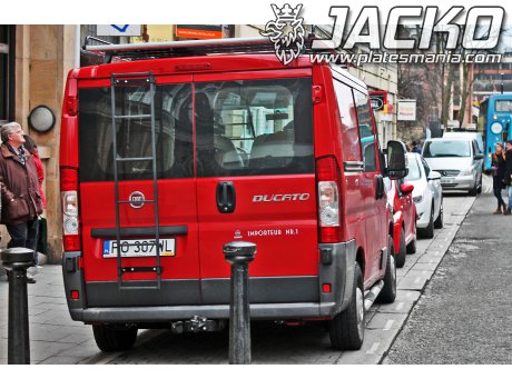 PO 307WL, FIAT Ducato
