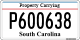 South Carolina, Property Carrying (P123456)