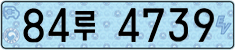 License plate of South Korea, Electric vehicles