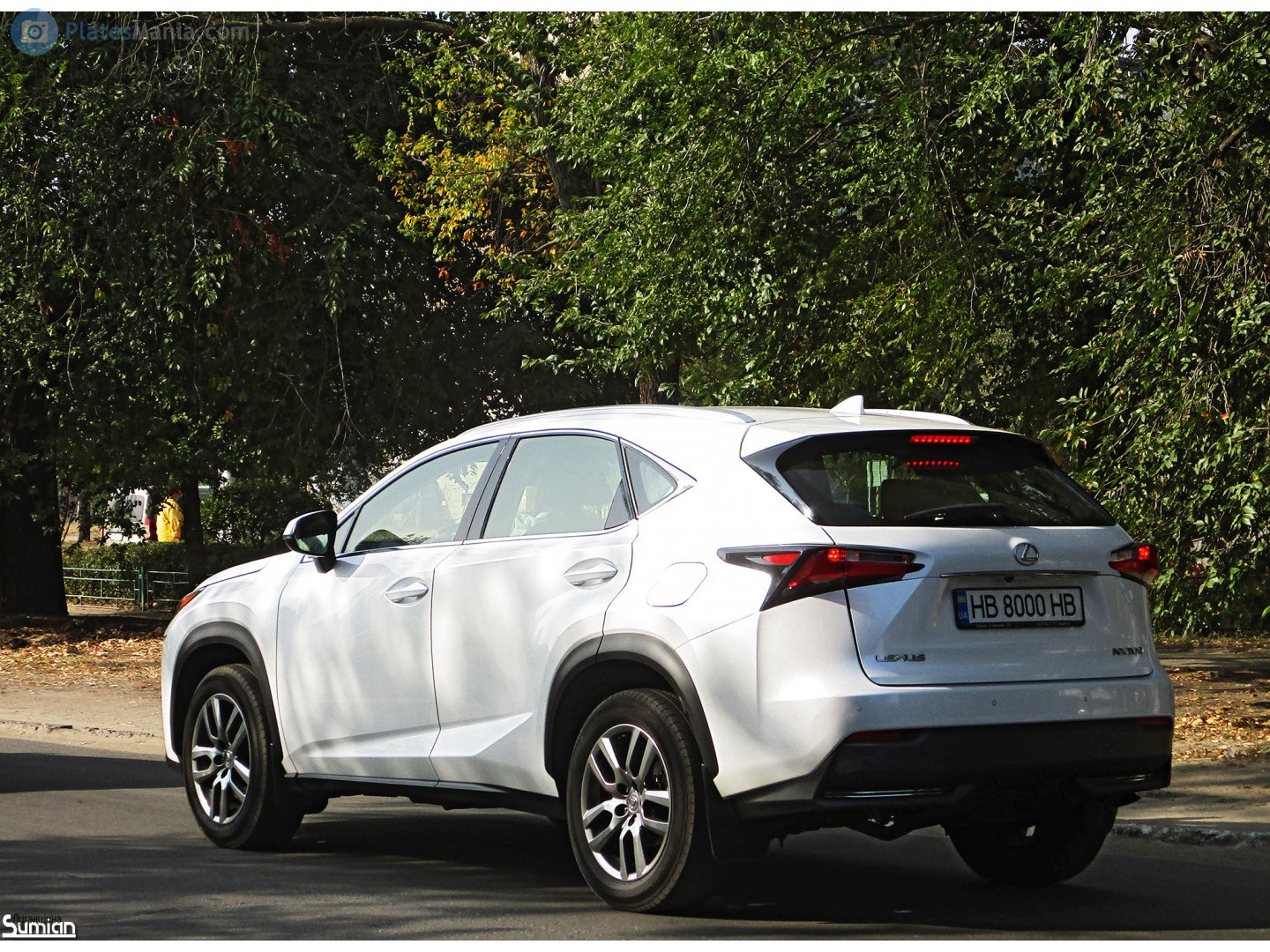 HB 8000 HB, Lexus NX 1st gen (AZ10), 2014–2017