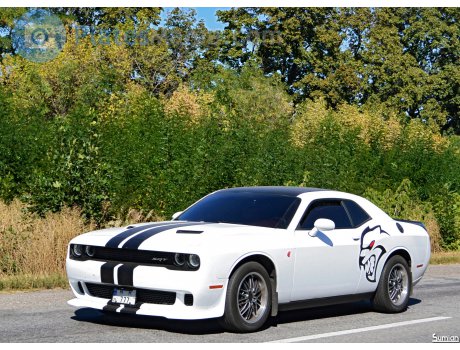 21 M 777 M, Dodge Challenger