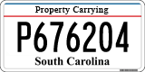 South Carolina, Property Carrying (P123456)