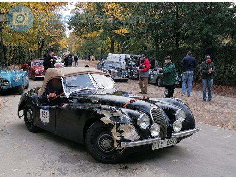 GTY 056, Jaguar XK120