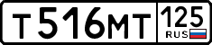 License plate Russia, Cars