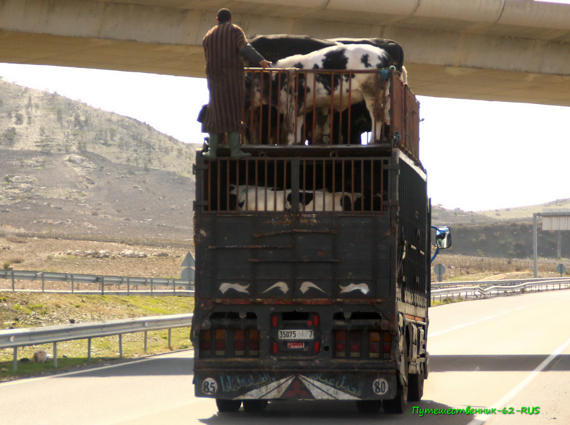 35075|أ|7, Mitsubishi Fuso Fighter 